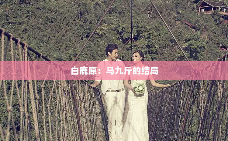 白鹿原：马九斤的结局