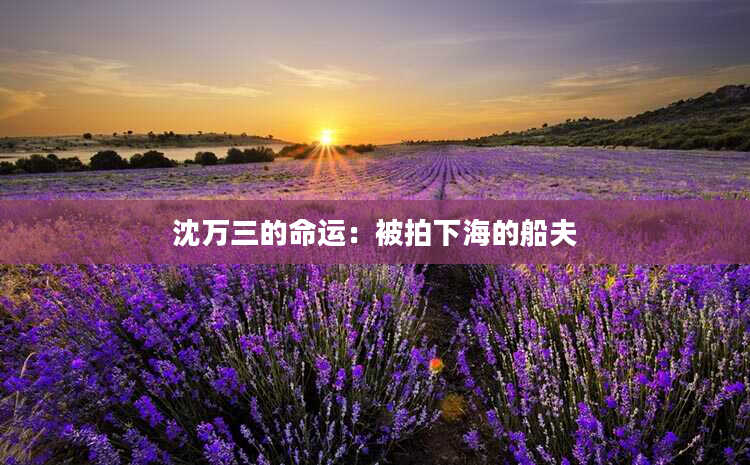 沈万三的命运：被拍下海的船夫