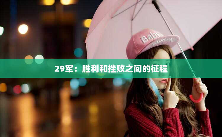 29军：胜利和挫败之间的征程