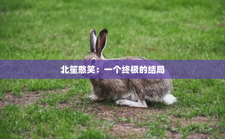 北笙憨笑：一个终极的结局