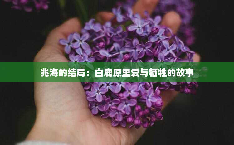 兆海的结局：白鹿原里爱与牺牲的故事