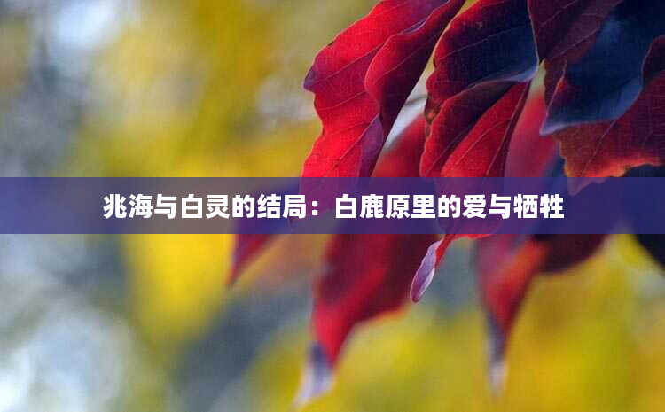 兆海与白灵的结局：白鹿原里的爱与牺牲