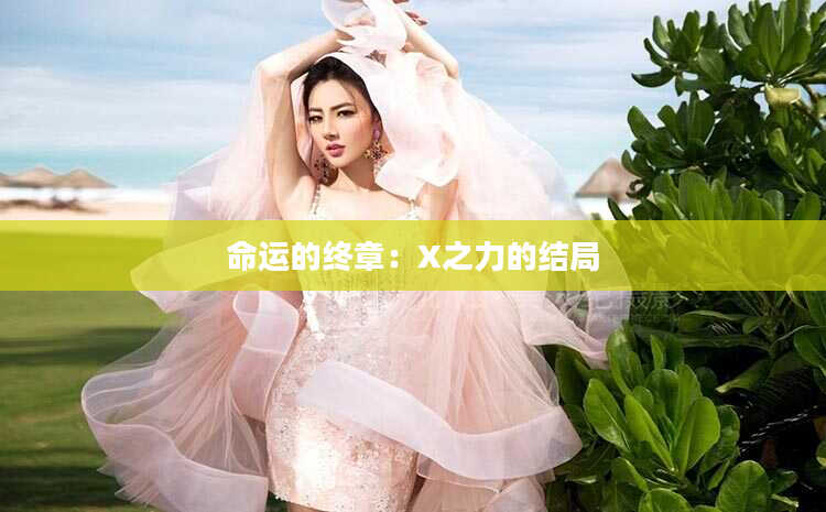 命运的终章：X之力的结局