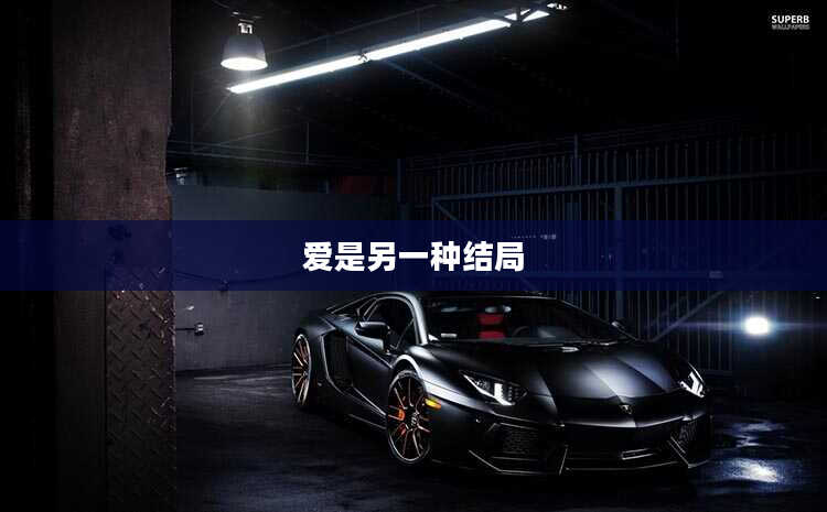 爱是另一种结局