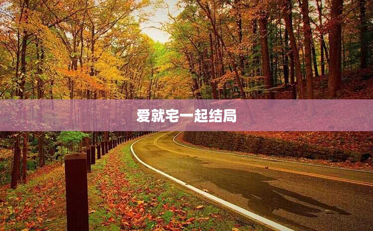 爱就宅一起结局