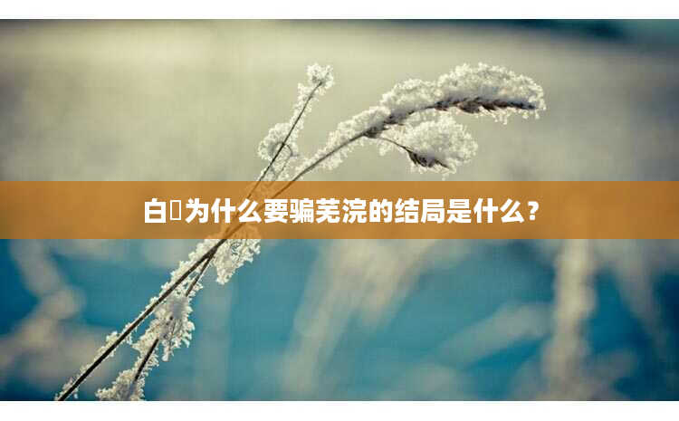 白玦为什么要骗芜浣的结局是什么？