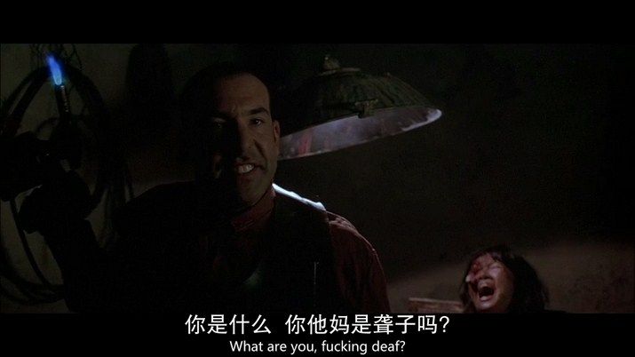 人皮客栈电影海报截图