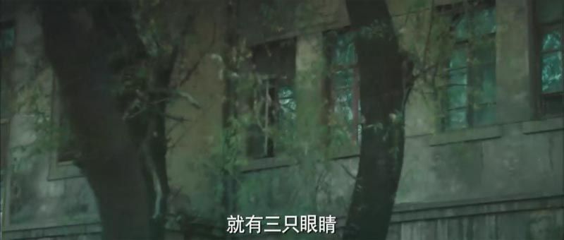 午夜微博电影海报截图