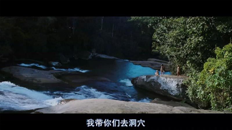 丛林噩梦电影海报截图