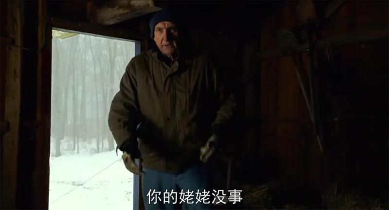 探访惊魂电影海报截图