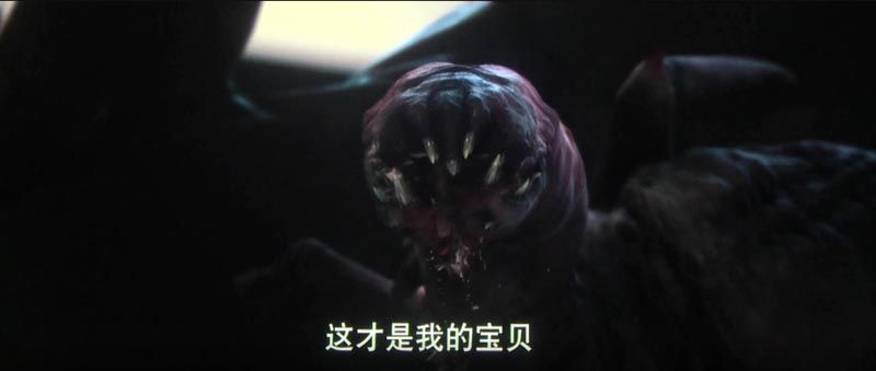 食人虫电影影评_图解剧情介绍