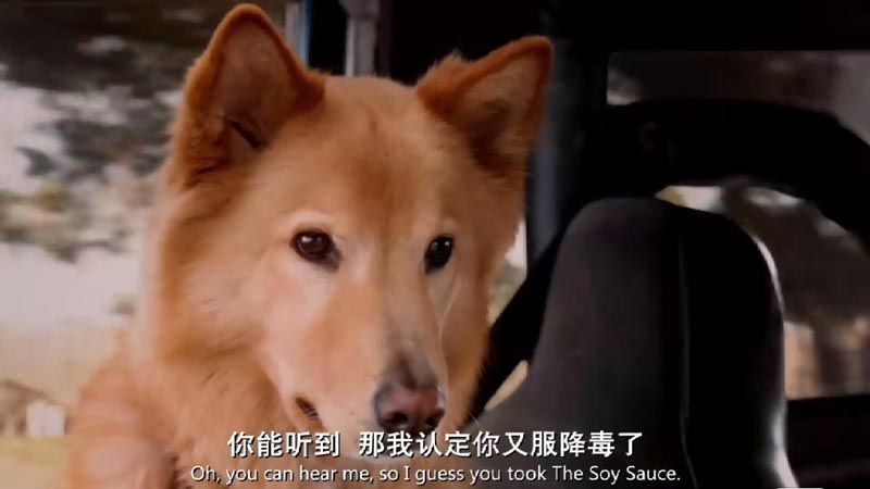 约翰最后死了电影海报截图