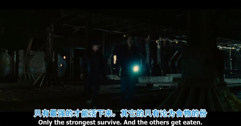 夜之亡灵电影海报截图