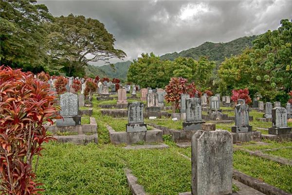 路旁土命与金命的相生关系解析