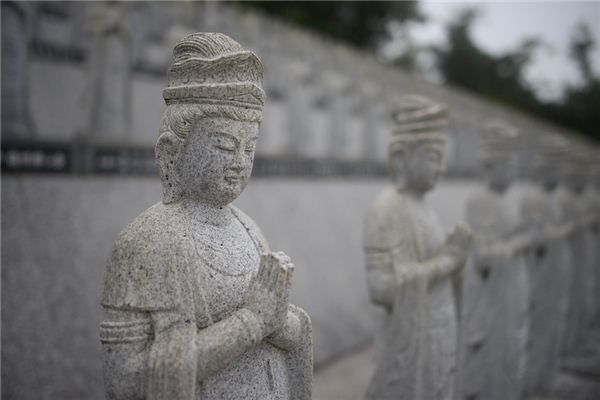 猫还有半条命的秘密与启示