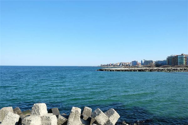 马的命运：奔腾与挑战的旅程