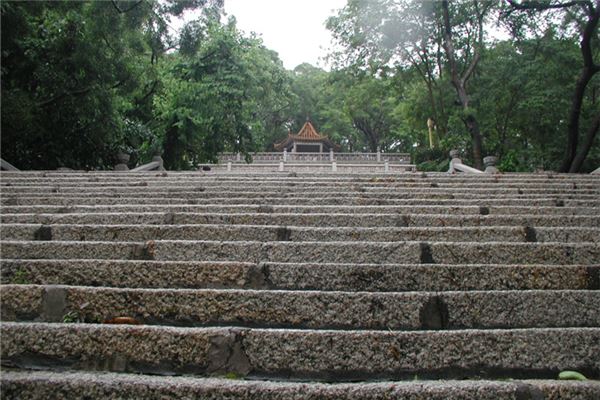 三个孩子的命运：家中双女一子背后的故事