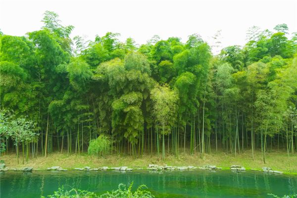 命理中的大吉：探索吉祥数字与生活的奥秘