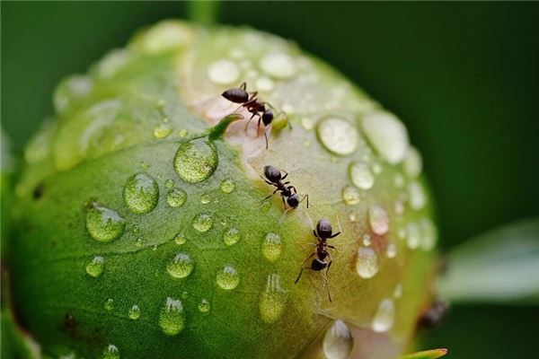 命理缺金取名之道：让你的名字闪耀金光！