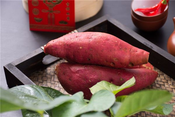 命里藏金的四个生肖，揭秘财富密码！
