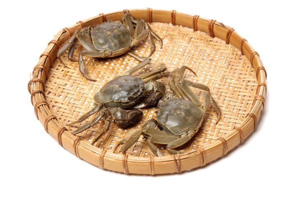 命理探秘：缺水缺金的命格分析与调和策略