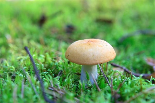 开命悬一线的钥匙：探秘生活中的关键时刻