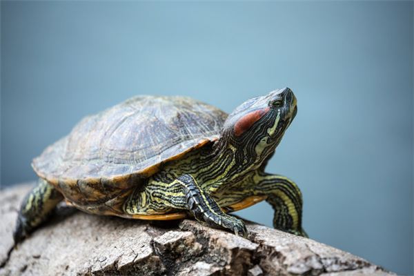六面命背后隐藏的秘密：探索命运的多维世界